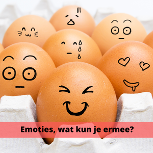 EMOTIES; WAT KUN JE ERMEE WORKSHOP
