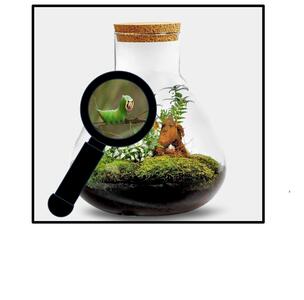 De Insecten-onderzoekers